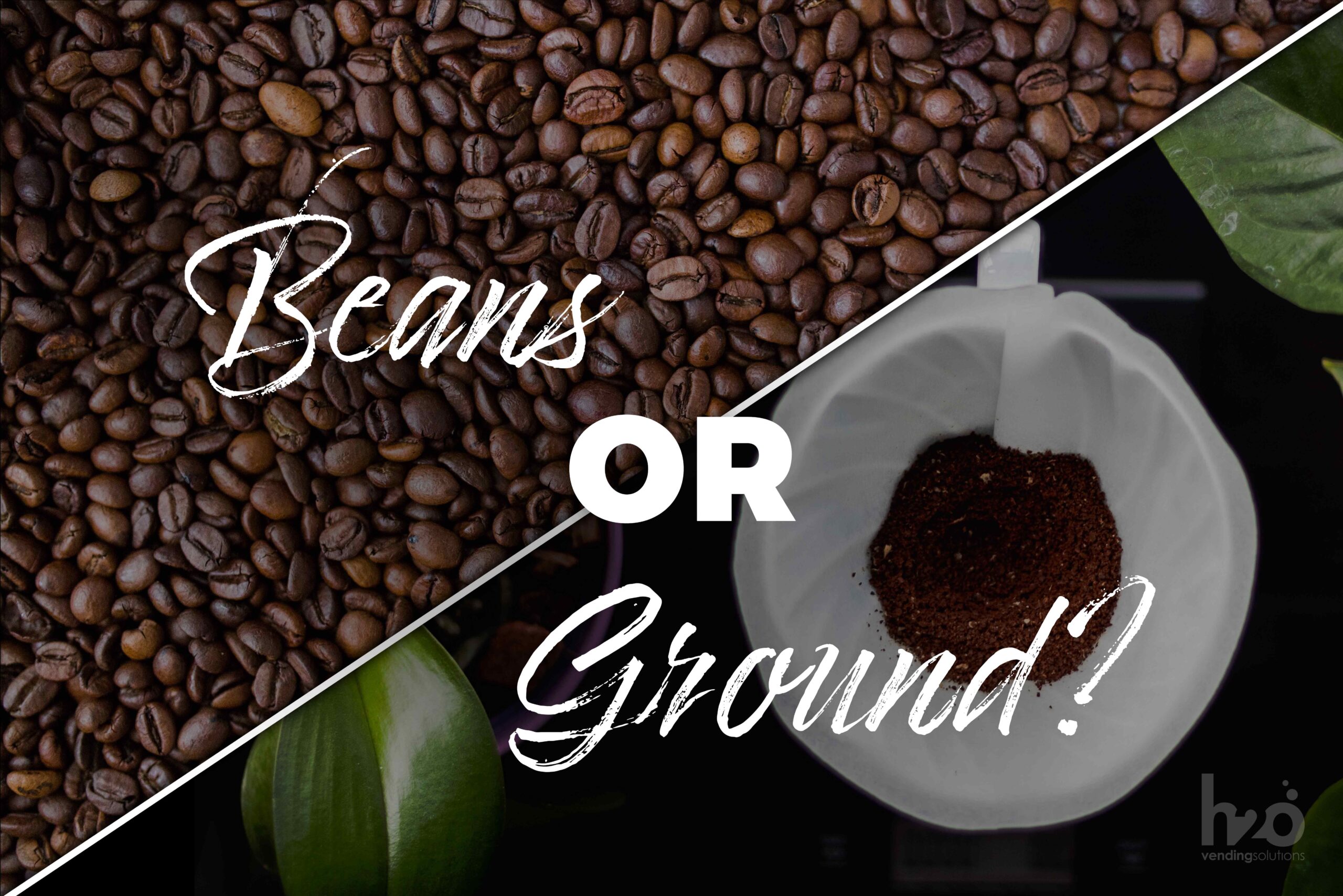 Are coffee beans or ground coffee better?